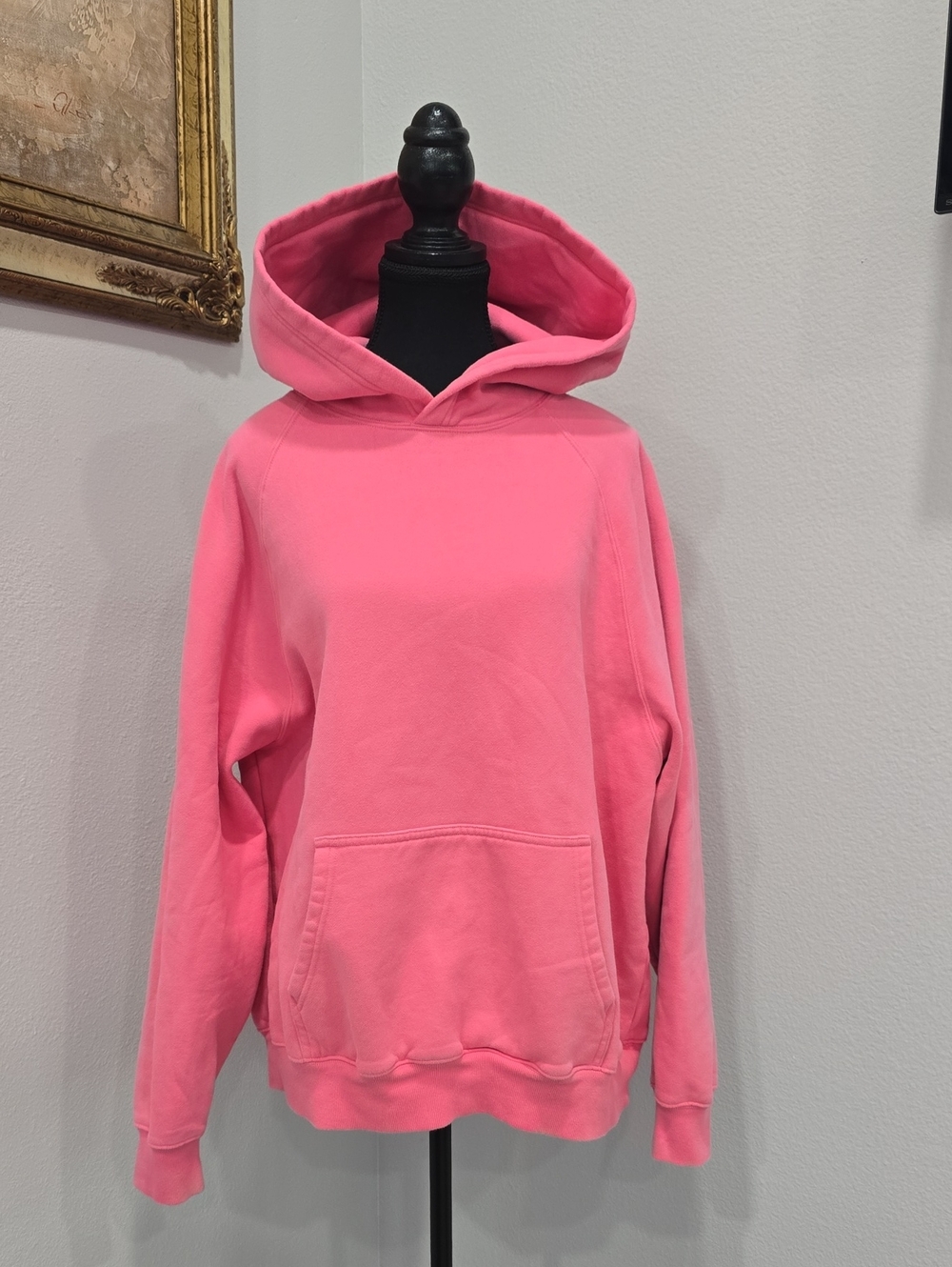 Aritzia Pink Hooded Pullover Sweatshirt - M
